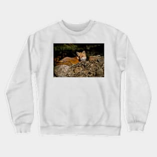 Red Fox On Rocks Crewneck Sweatshirt